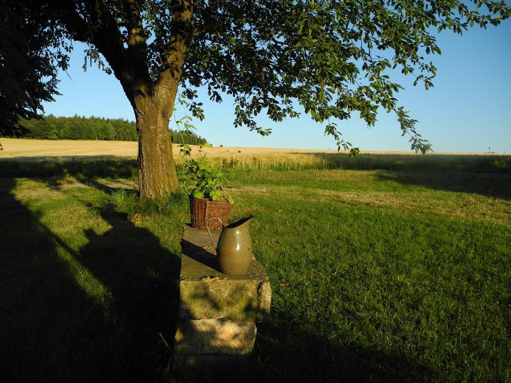 Alte Scheune Rietzschelhof Muglitztal Luaran gambar