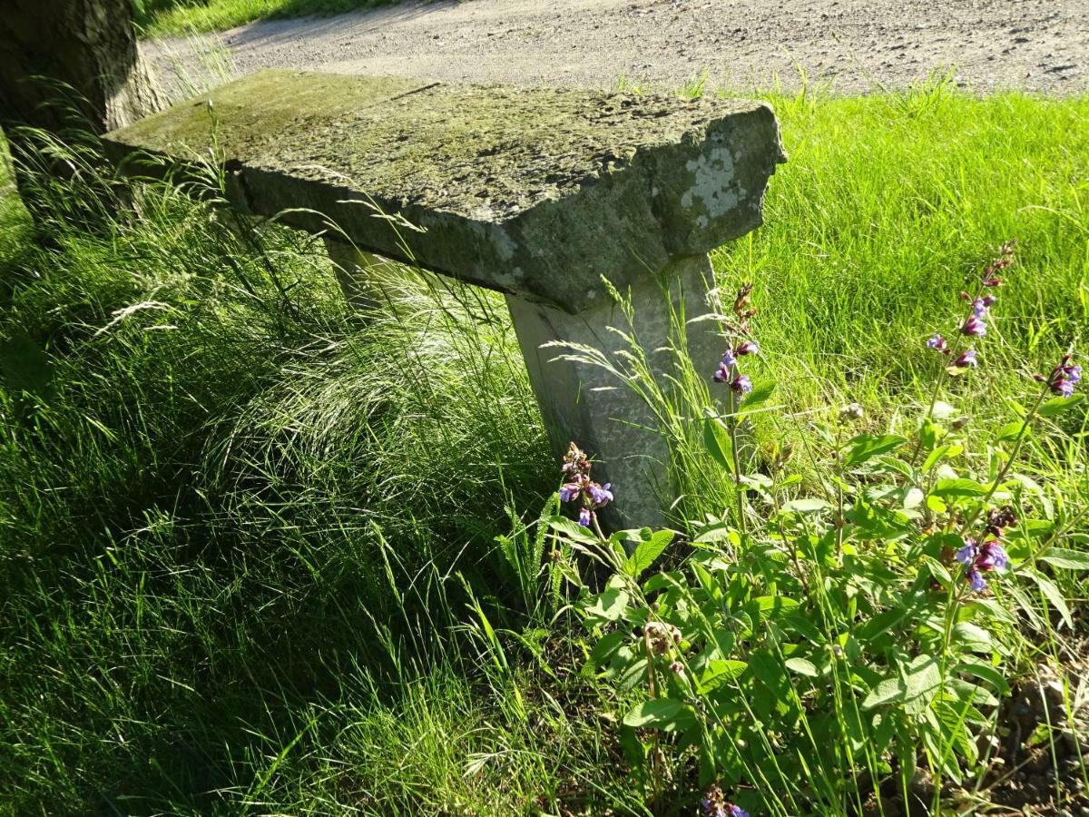 Alte Scheune Rietzschelhof Muglitztal Luaran gambar